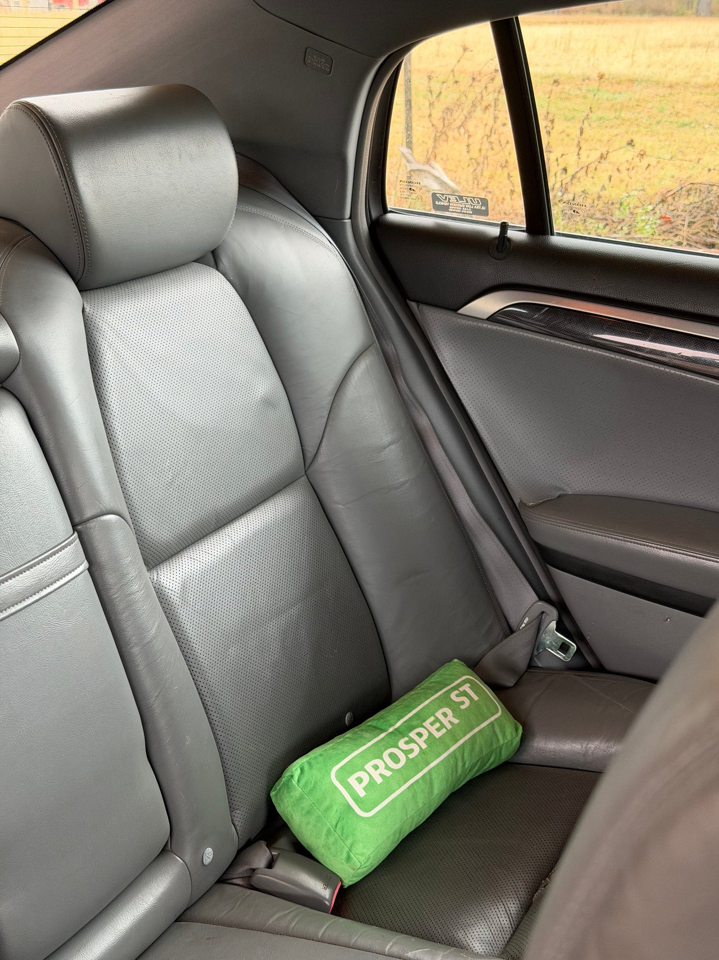 PROSPER ST LUMBER PILLOW